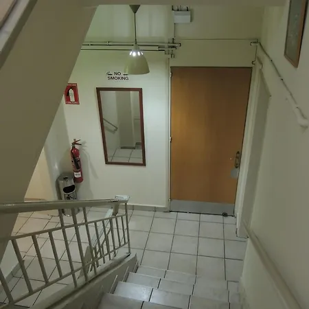δελφοί Λευκωσία